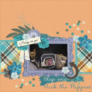 Pack the Puppies | Colour Challenge