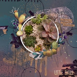 Succulents
