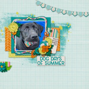 Dog Days of Summer