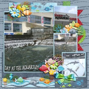 Day at the Aquarium