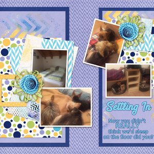 Settling In : Jumpstart Designs