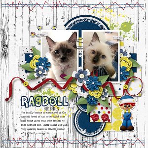 Ragdoll Fur Babies