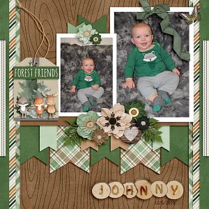 Woodland Wonder