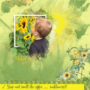 Stop + Smell the Sunflowers!