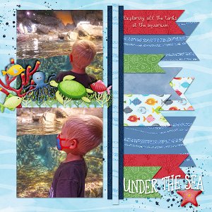under-the-aquarium