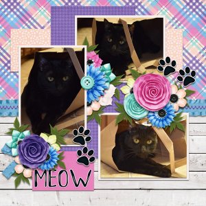 meow