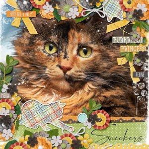 Snickers