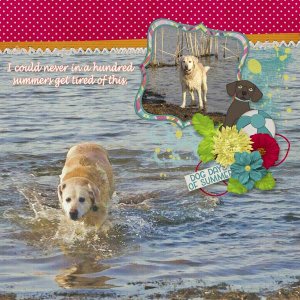 Dog Days of Summer