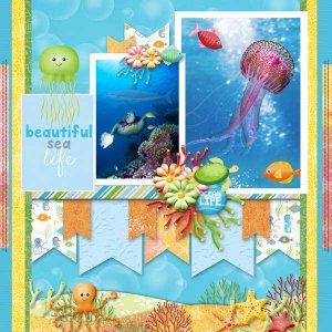 Ocean Life