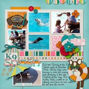 K9 Splash