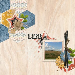 08-Life-Chronicled