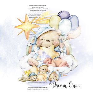 The Dream is a Wish Your Heart makes