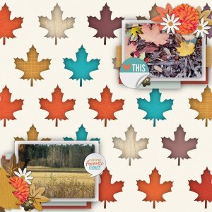 Fall favorites