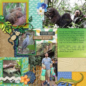Dallas World Aquarium 2