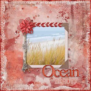 Ocean Beauty