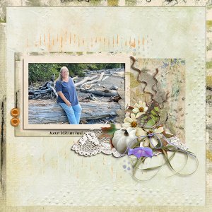 Driftwood