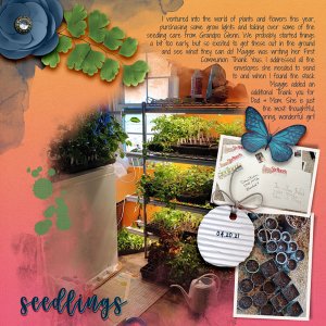 Seedlings