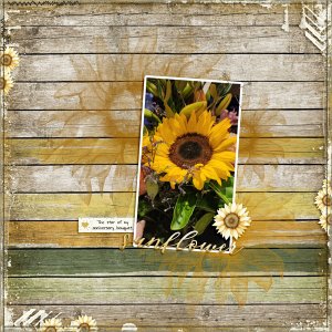 Sunflower