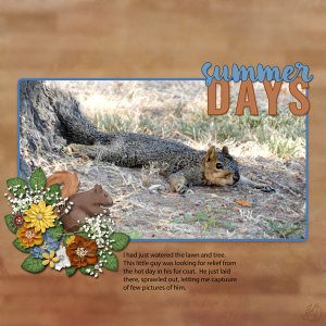 Squirrely summer day