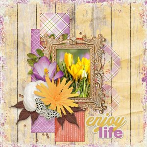 Enjoy Life