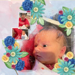 Baby Willow