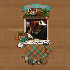red panda