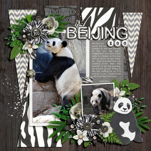 beijing zoo