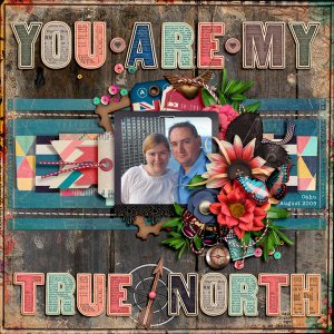 true north