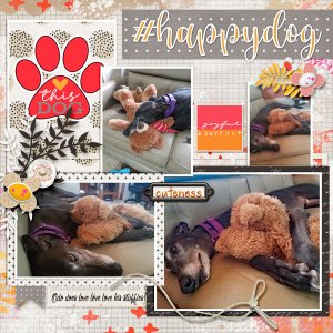 Odo loves his stuffies