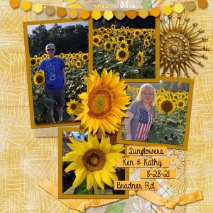 Sunflowers