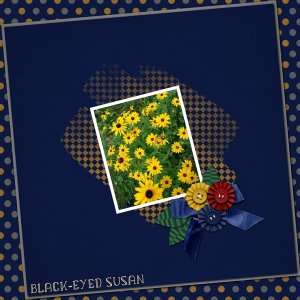 Black-Eyed Susan