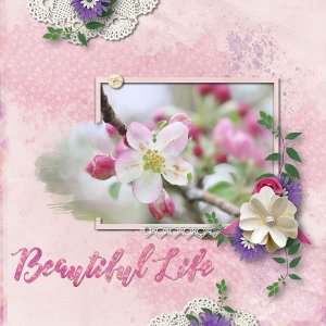 Beautiful Life