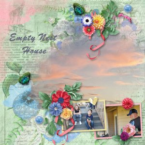 Empty Nest House