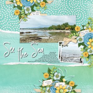 See the Sea