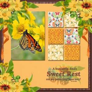 A butterfly finds Sweet Rest on an amazing journey!