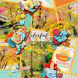 Colorful autumn