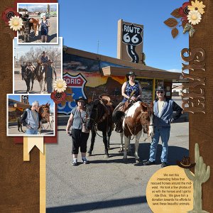 Horse Riding