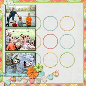 Family Picnic