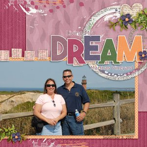 Life Chronicled Dreams