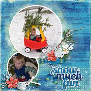Snow Much Fun