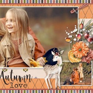 T. Simple and elegant album 3