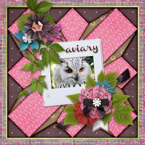 Aviary