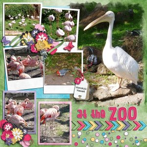at the Zoo