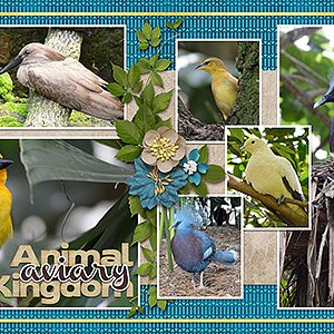 aviary