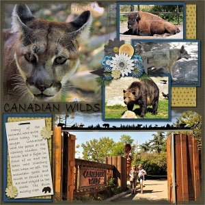 Canadian Wilds