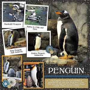 Penguin