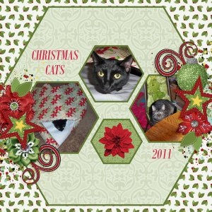 Christmas cats