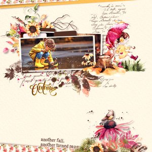 Early Autumn Whispers