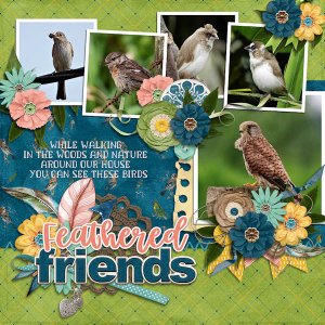 Feathered friens