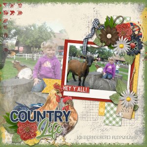 Country_Life-DianaS